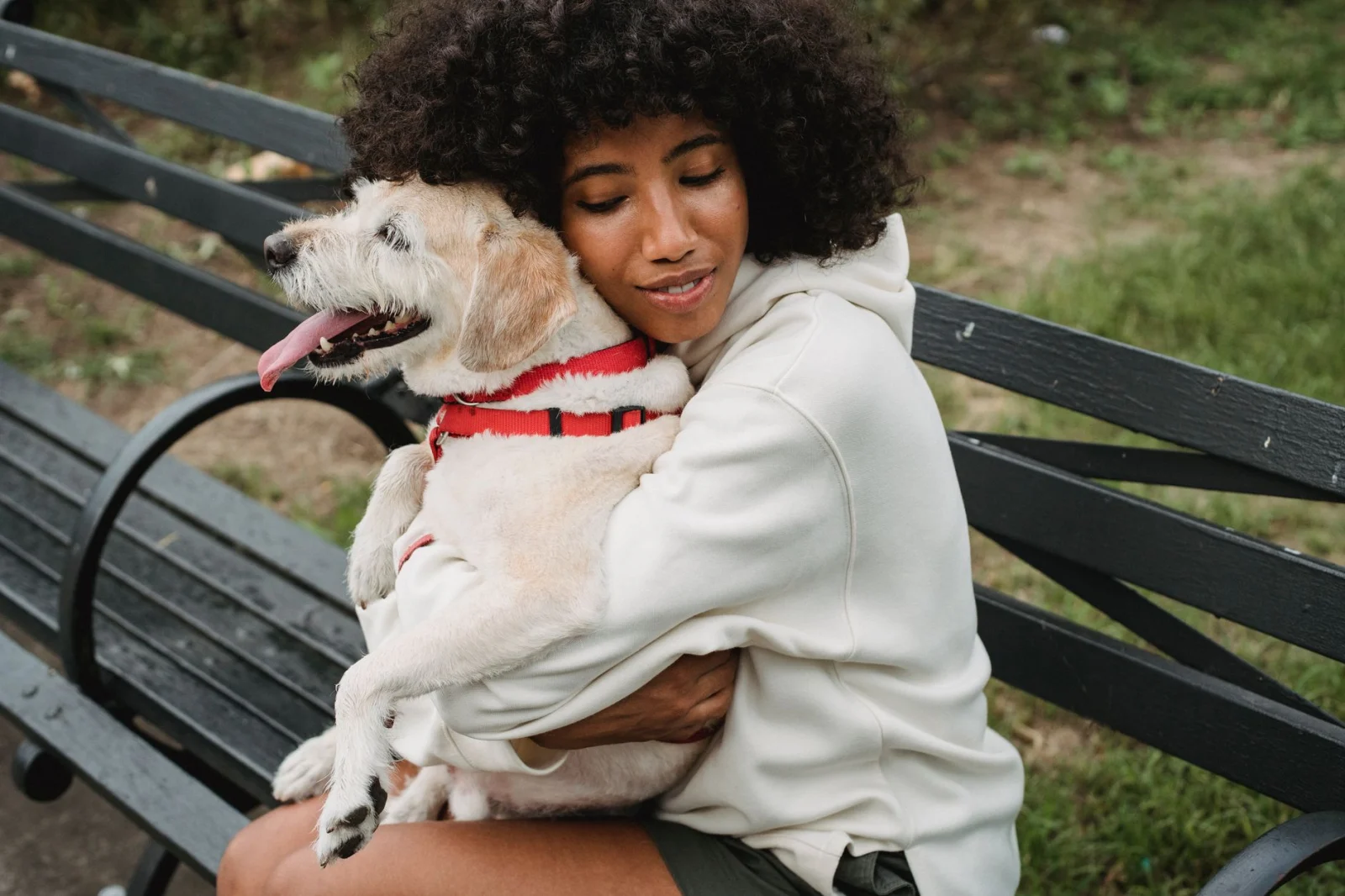 A happy reunion between an owner and their dog
