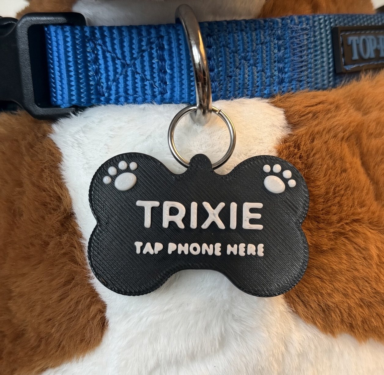Black bone tag with white lettering on a collar