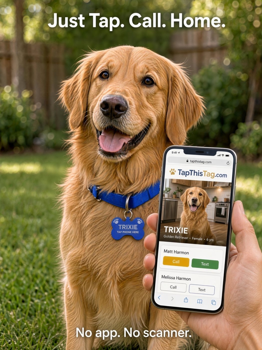 A phone held to the tag on a golden retriever's collar opens the dog's page